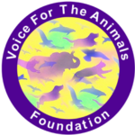 voices-for-the-animals