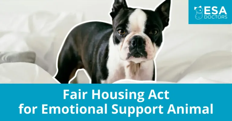 What is the Fair Housing Act for Emotional Support Animals?