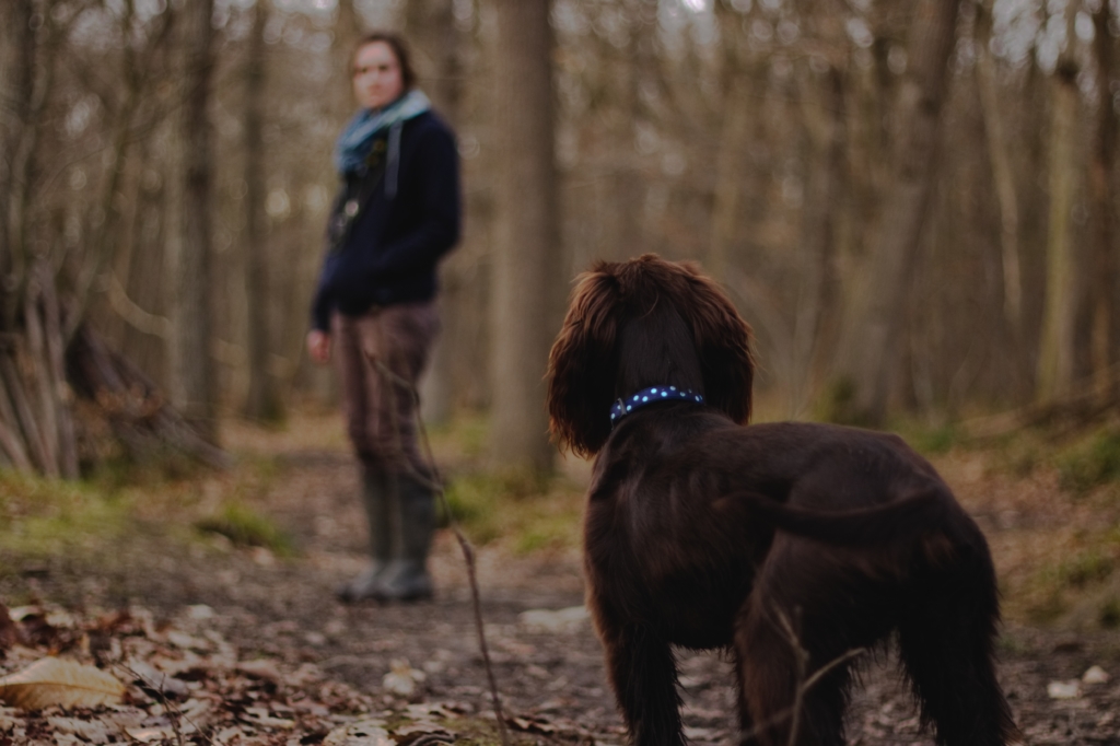 Mental Health Benefits Of An Emotional Support Animal Esa Doctors