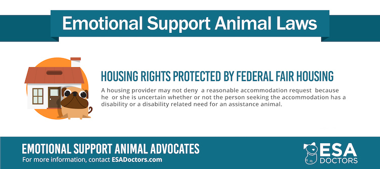 Emotional Support Animal Laws