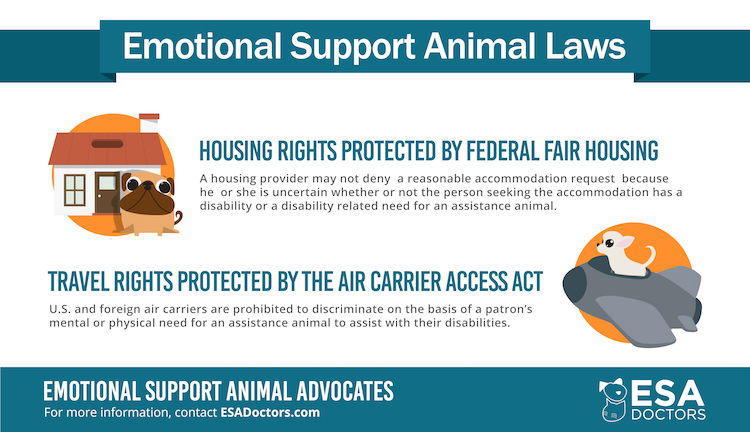 Emotional Support Animal Laws You Should Know ESA Doctors