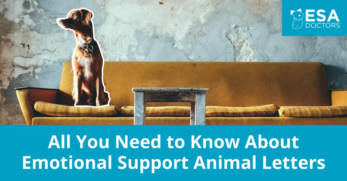 Emotional Support Animal Letter