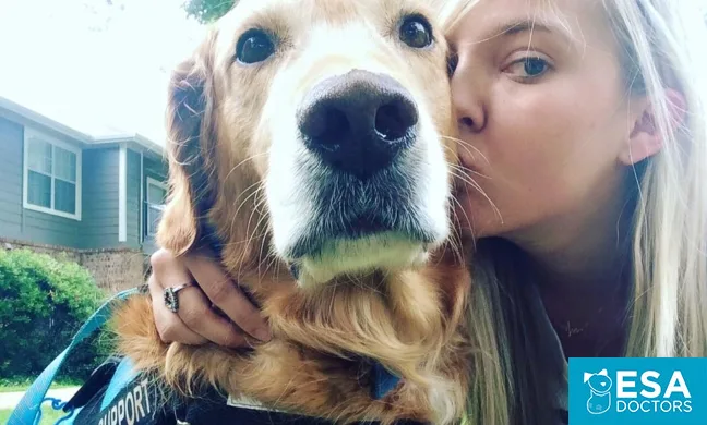 Emotional Support Animal Laws You Should Know Esa Doctors