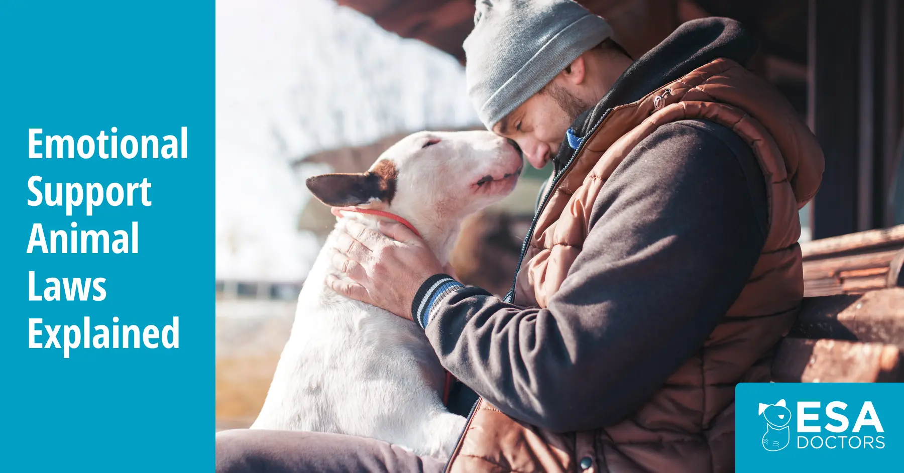 Emotional Support Animal Laws