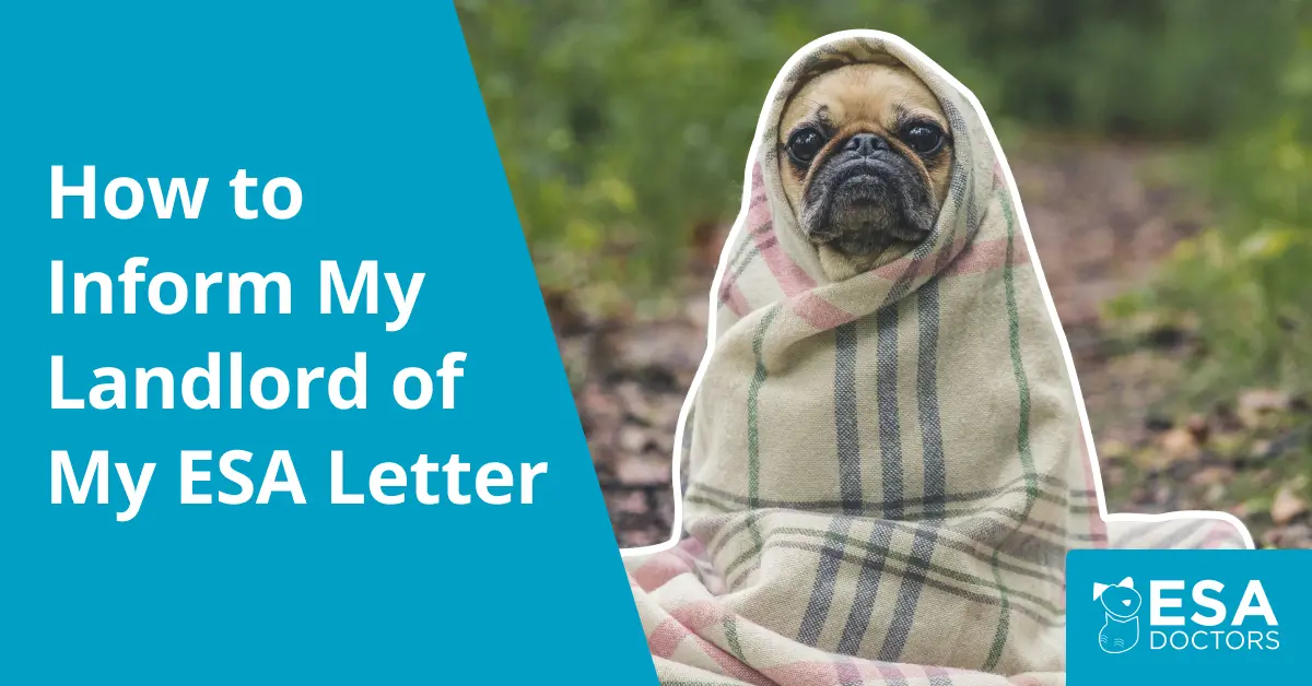 How to Inform My Landlord of My Emotional Support Dog Letter