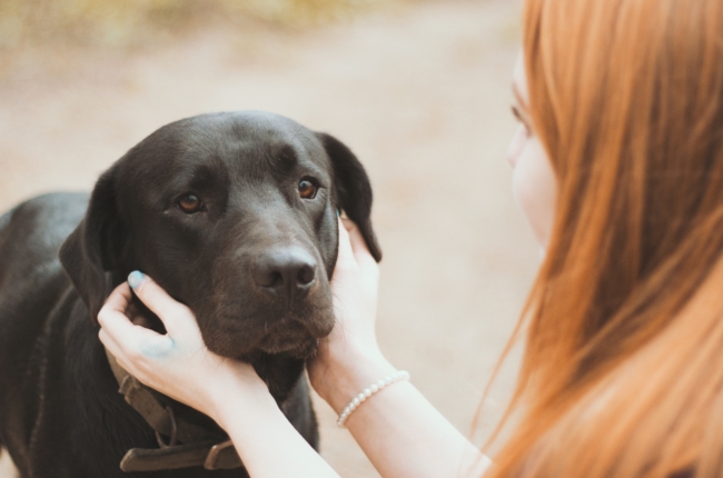 How Can Emotional Support Animals Help With Depression? - ESA Doctors