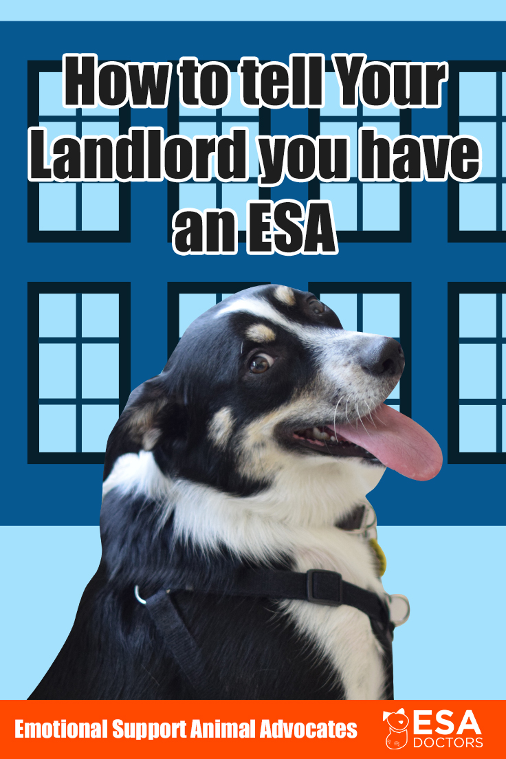 How to tell your landlord you have an ESA.