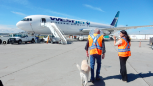 West Jet and Air Canada both allow psychiatric service dogs to fly in cabin! - ESA Doctors 