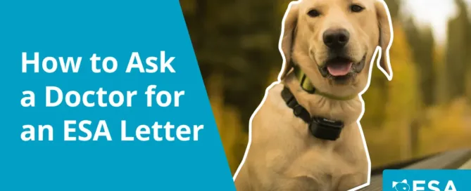 How to Ask a Doctor for an Emotional Support Animal Letter