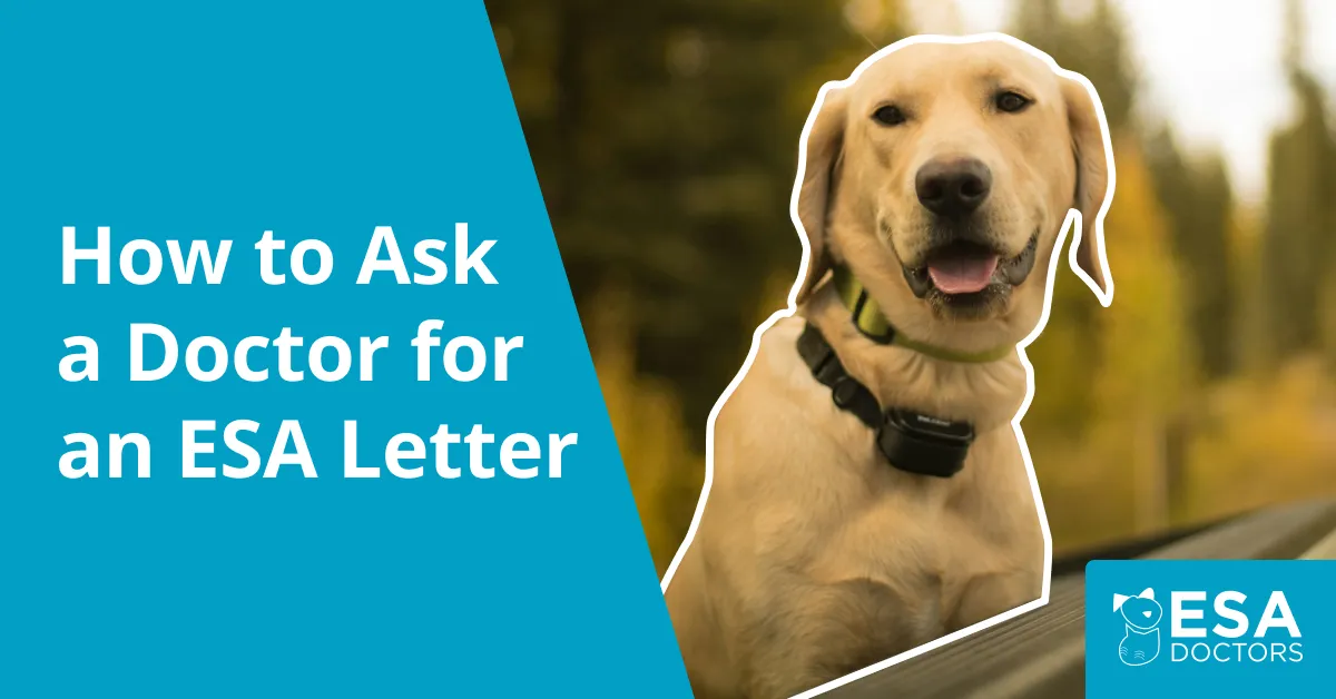 How to Ask a Doctor for an Emotional Support Animal Letter