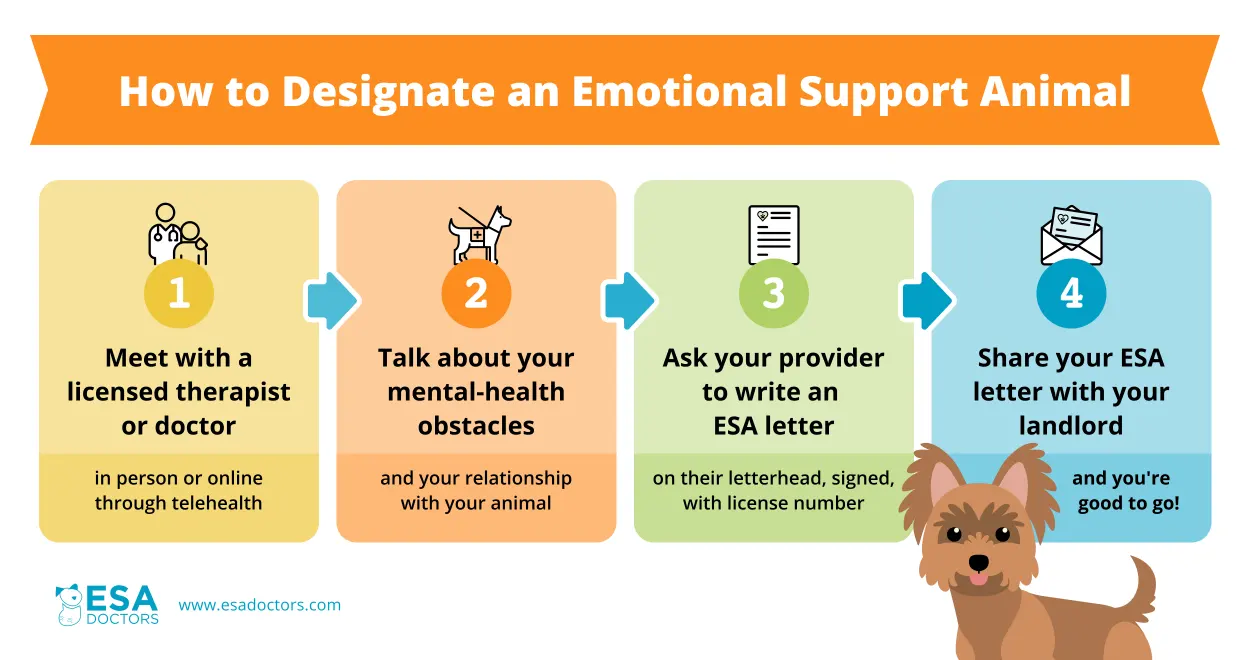 How to Designate an Emotional Support Animal