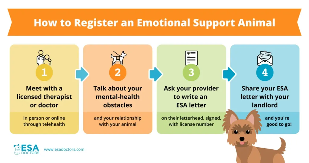 How to Register an Emotional Support Animal