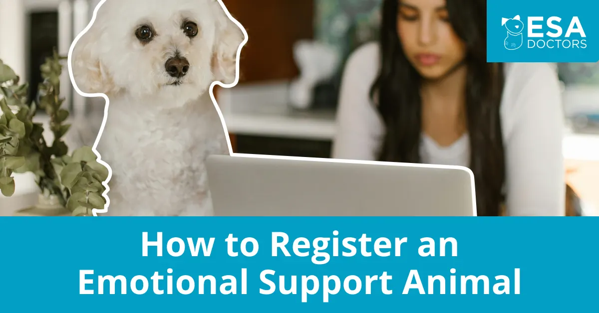 How to Register an Emotional Support Animal
