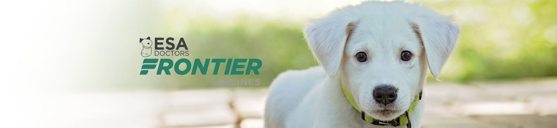 Frontier Airlines – Emotional Support 
