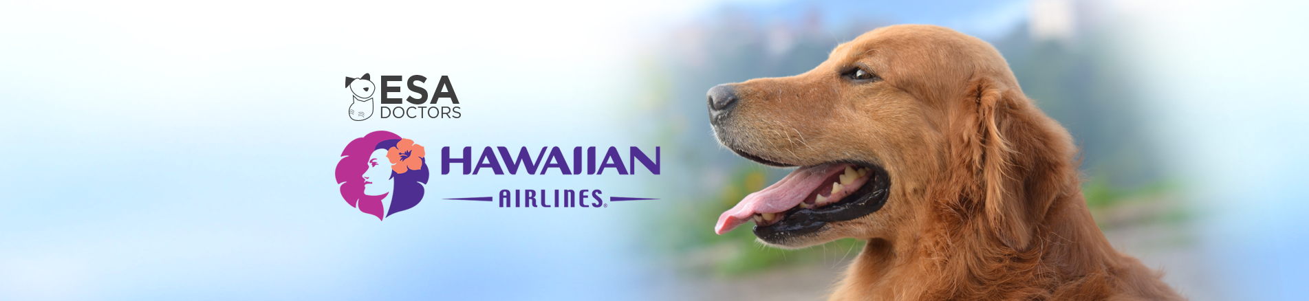hawaiian airlines esa