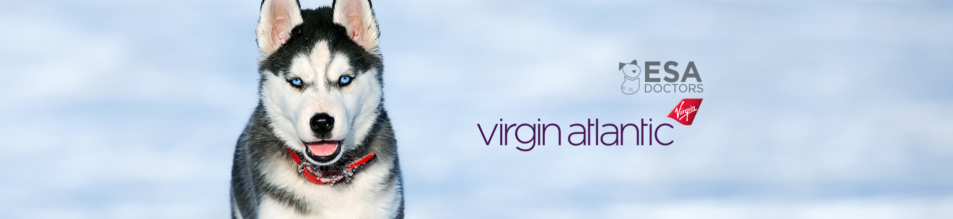Virgin Atlantic – Emotional Support 