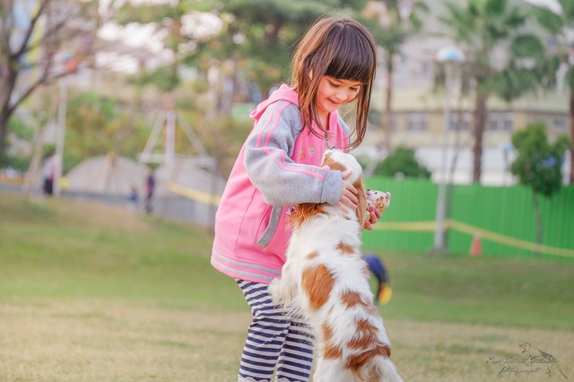 Child playing with esa dog