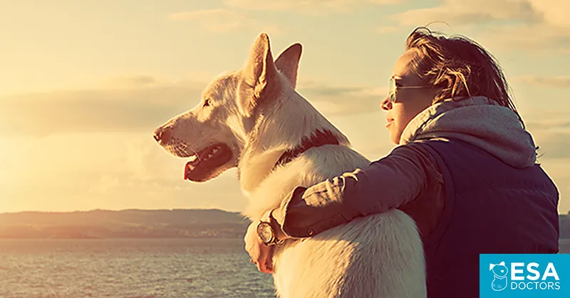 Emotional Support Dog with Owner at Sunset - ESA Doctors