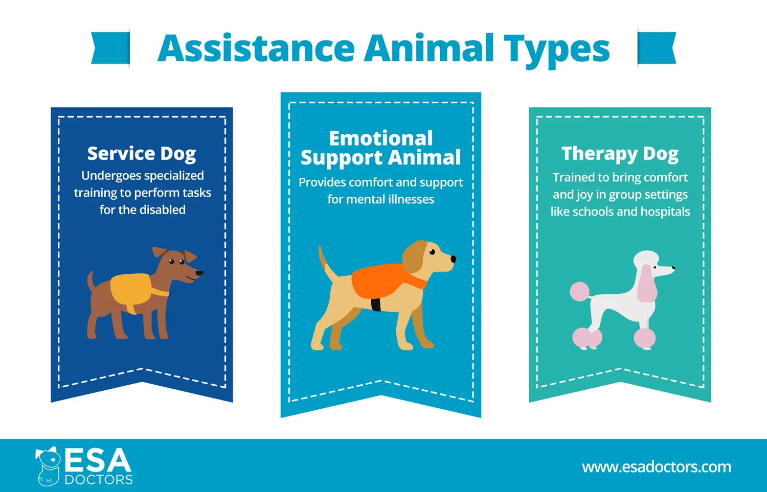 are companion dogs service dogs