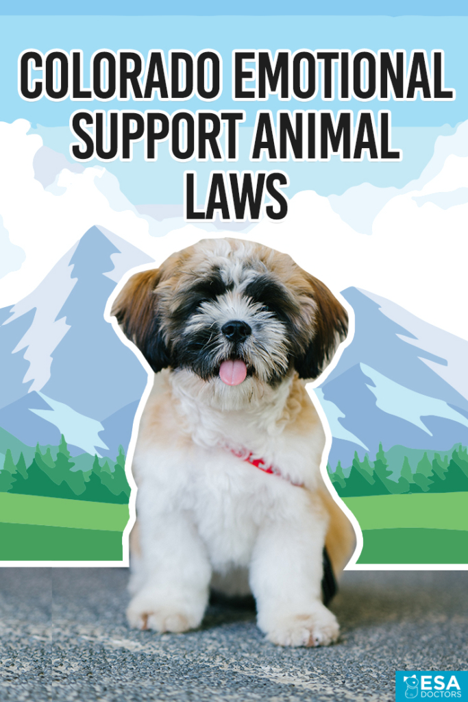 Visual Reference: Colorado Emotional Support Animal Laws