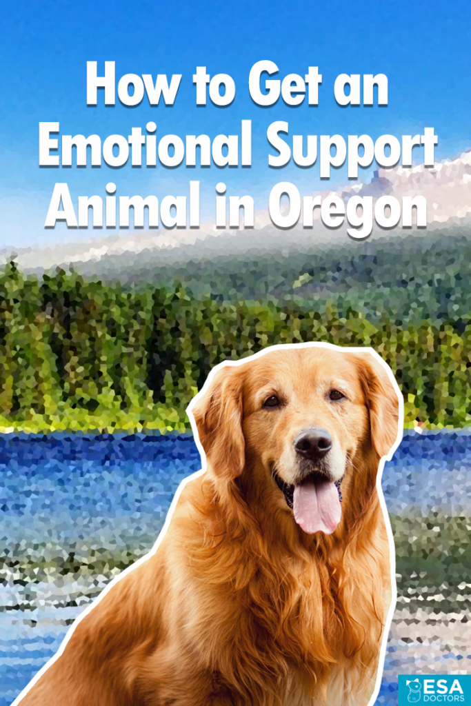 How to get an emotional support animal in Oregon banner.