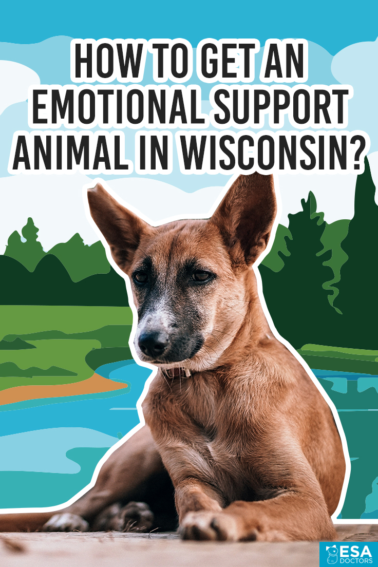 How to Get an Emotional Support Animal in Wisconsin