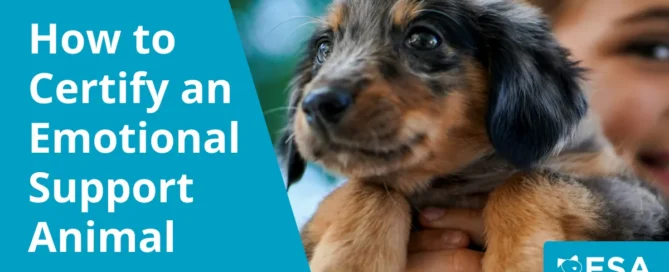 Emotional Support Animal Certification (ESA Certification)