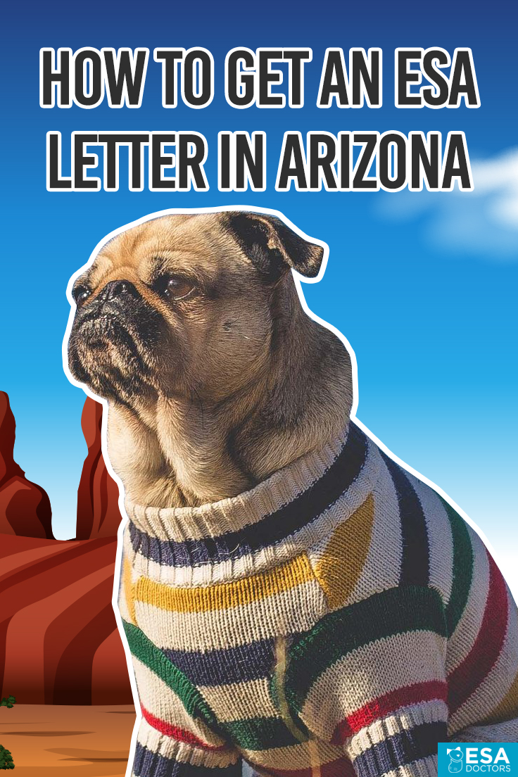 How to Get an ESA Letter in Arizona