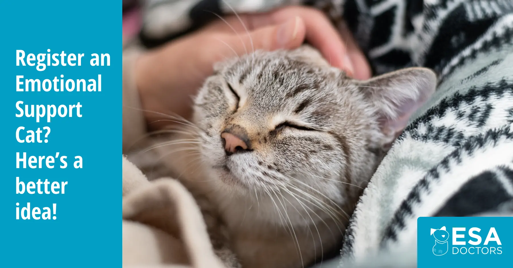 How to Register an Emotional Support Cat