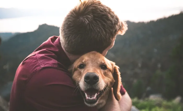 Dogs and other animals can improve mental health in people who suffer from depression, anxiety, PTSD, etc. - ESA Doctors