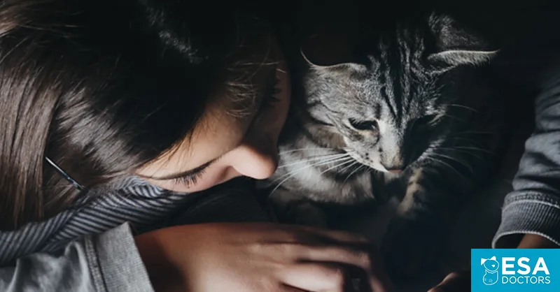 Emotional Support Cat Registration Guide - ESA Doctors