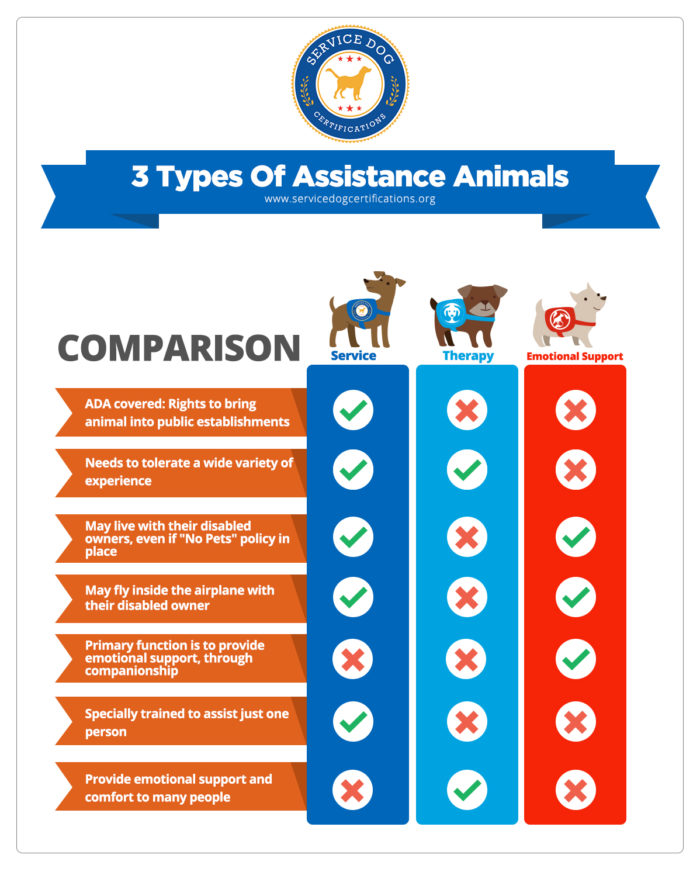 service dog, esa, therapy dog differences