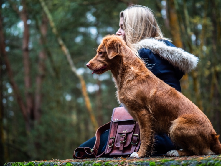 An ESA letter is all you need to qualify your pet as an emotional support animal. - ESA Doctors