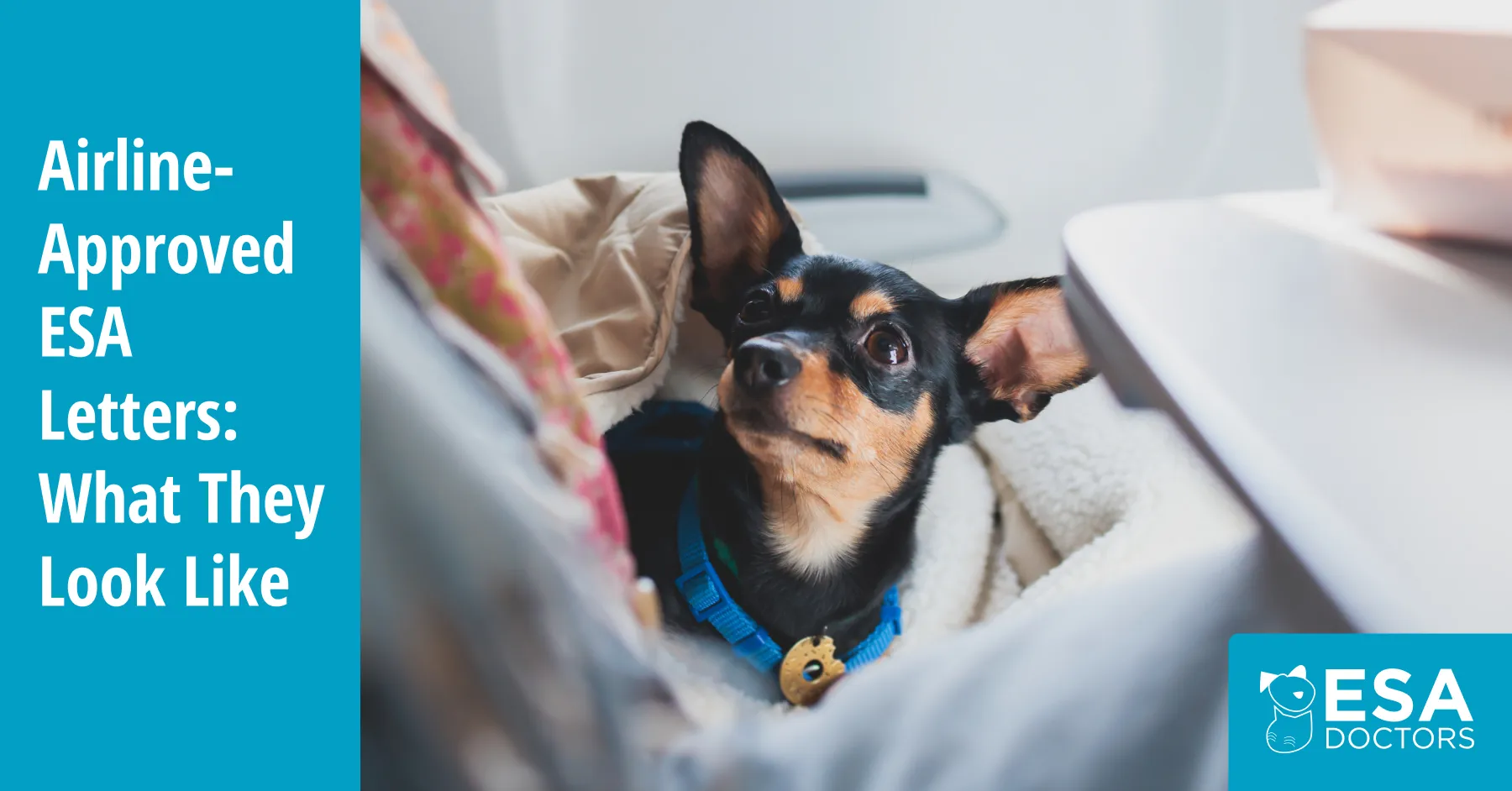 Emotional Support Animal Letter for Flying