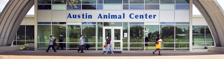 Austin Animal Center - Adopt an ESA in Austin, TX