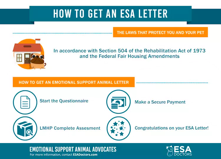 How get an Legit ESA Letter. ESA Doctors