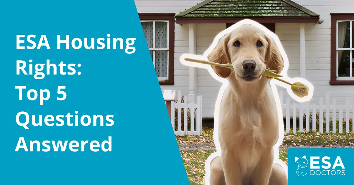 5 Questions Everyone Asks About Emotional Support Animal Housing Rights