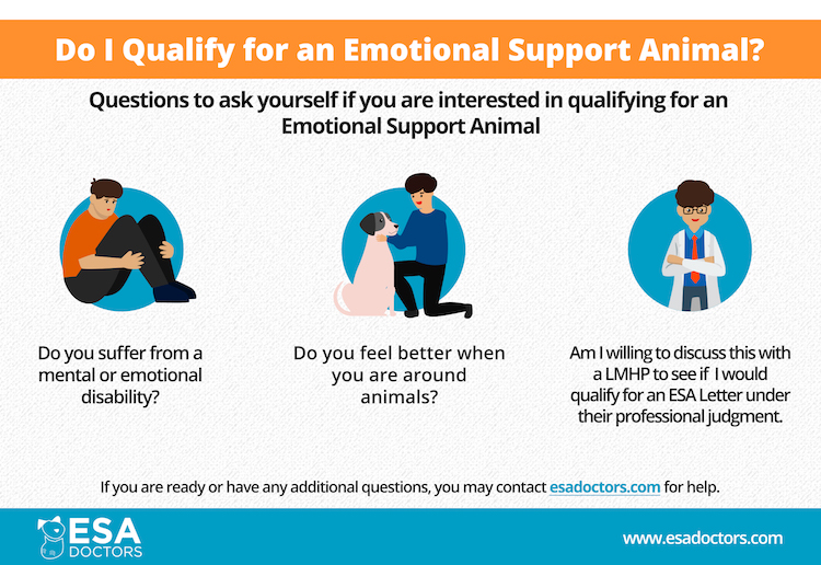Do I qualify for an Emotional Support Animal - ESA Doctors (infographic)
