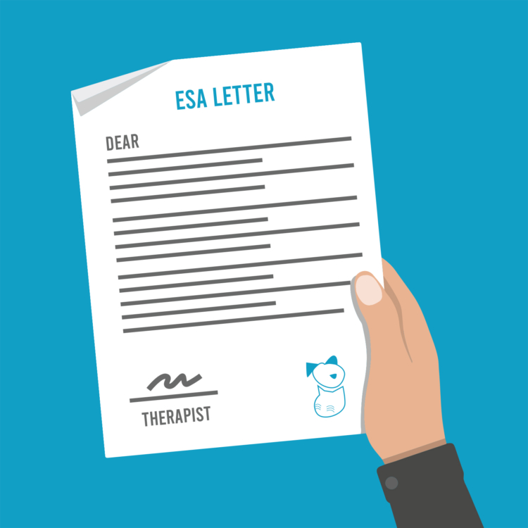 ESA Doctors Legitimate ESA letter