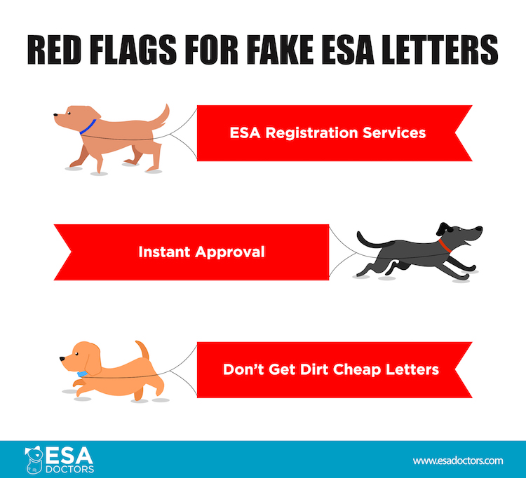 Red flags for fake ESA Letters. Get a real ESA letter from ESADoctors.com.