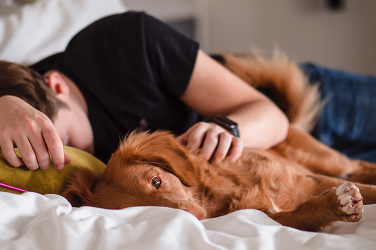 The presence and comfort of an emotional support dog is one of the ways dogs can help people with autism. - ESADoctors