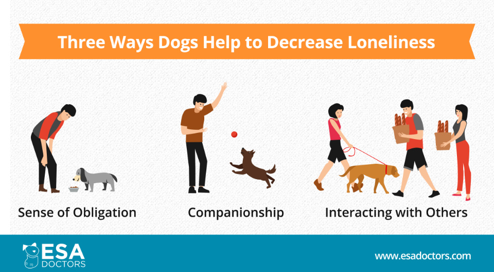 Three ways dogs help to decrease loneliness (infographic)