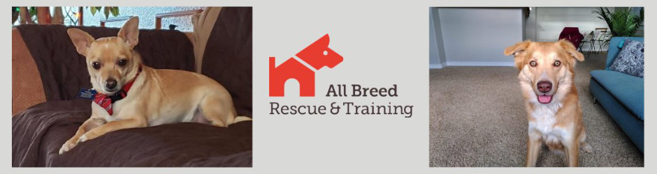 All Breed Rescue and Training Colorado