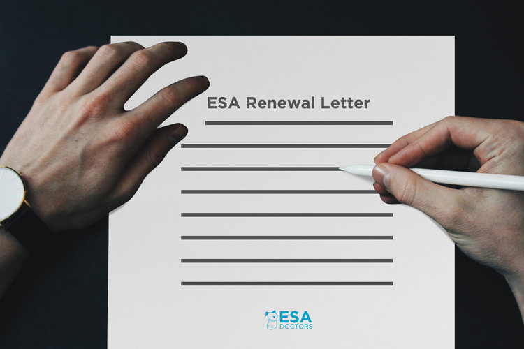 ESADoctors.com renewal ESA letter.