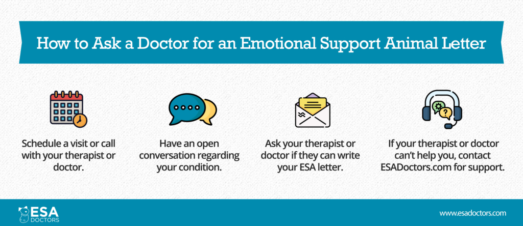 How to ask a doctor for an ESA Letter (infographic) - ESA Doctors
