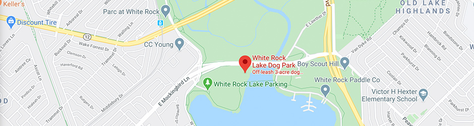 White Rock Lake Dog Park Dallas Texas