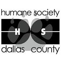 Humane Society of Dallas, Dog n Kitty City