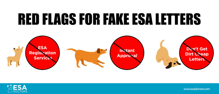 Red flags for scam esa letters.