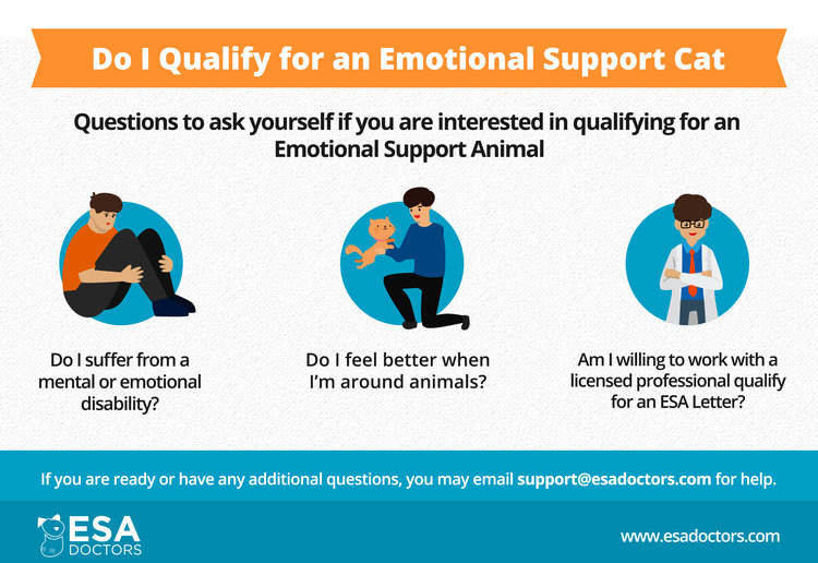 Do I qualify for an emotional support cat infographic.