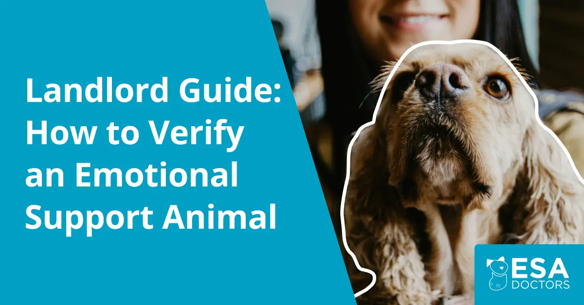 How Landlords Can Verify Emotional Support Animals